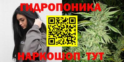 индика Бузулук