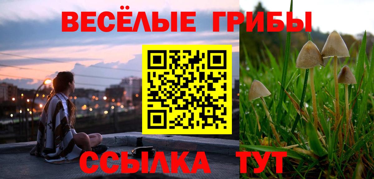 Можайск  Галлюциногенные грибы Psilocybine cubensis  Вход с VPN 